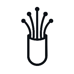 All State Internet Services